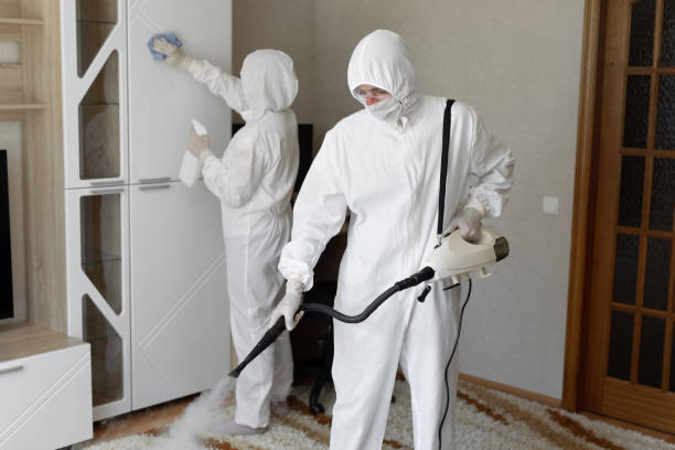 24/7 Emergency Odor Removal experts in Ringoes, NJ