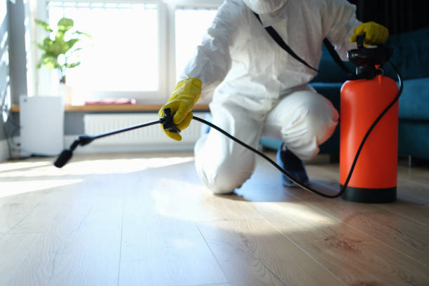 Reliable Odor Removal contractor in Ringoes, NJ by Trauma Clean Pros
